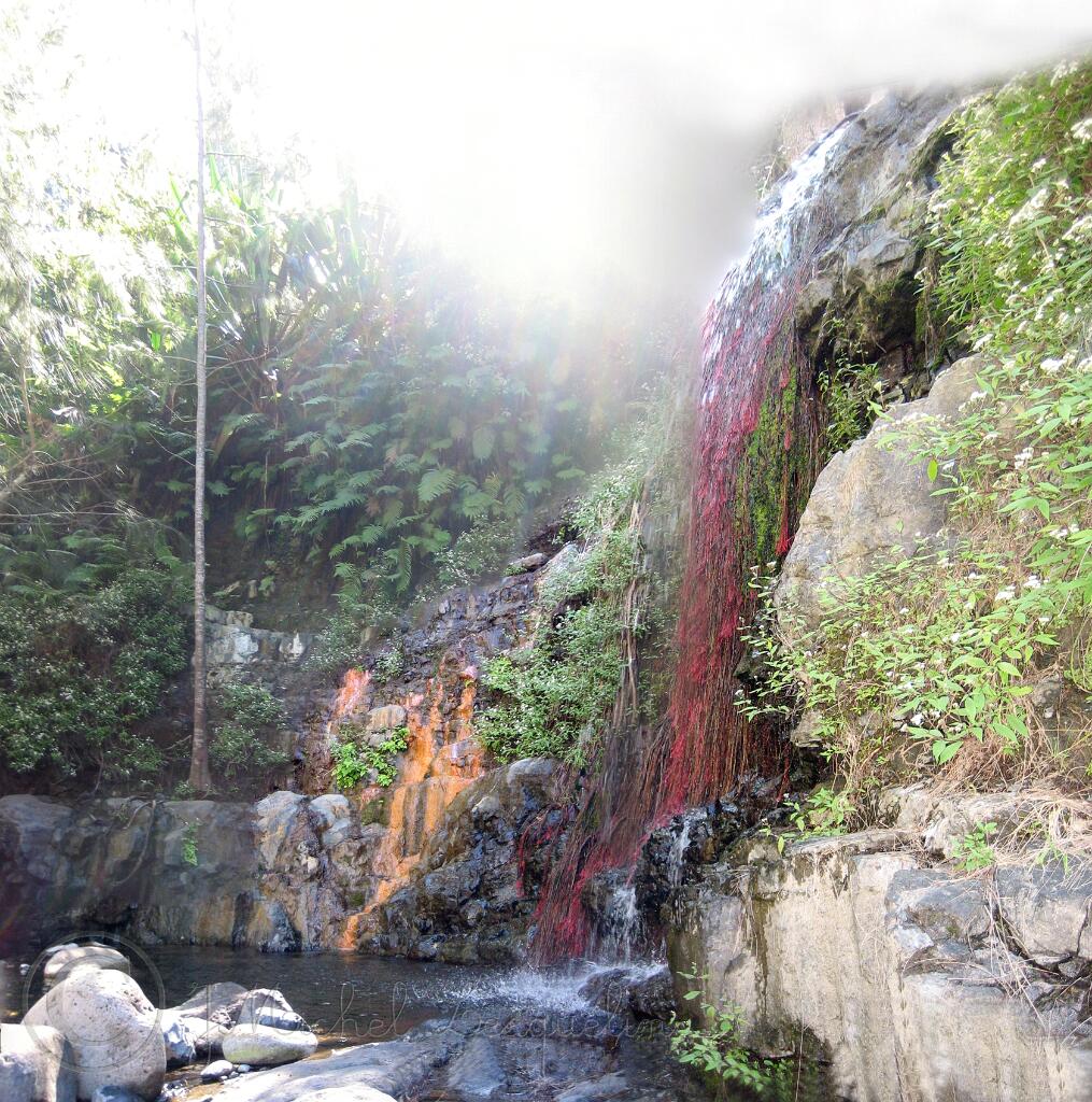 bassin d'eau chaude cilaos